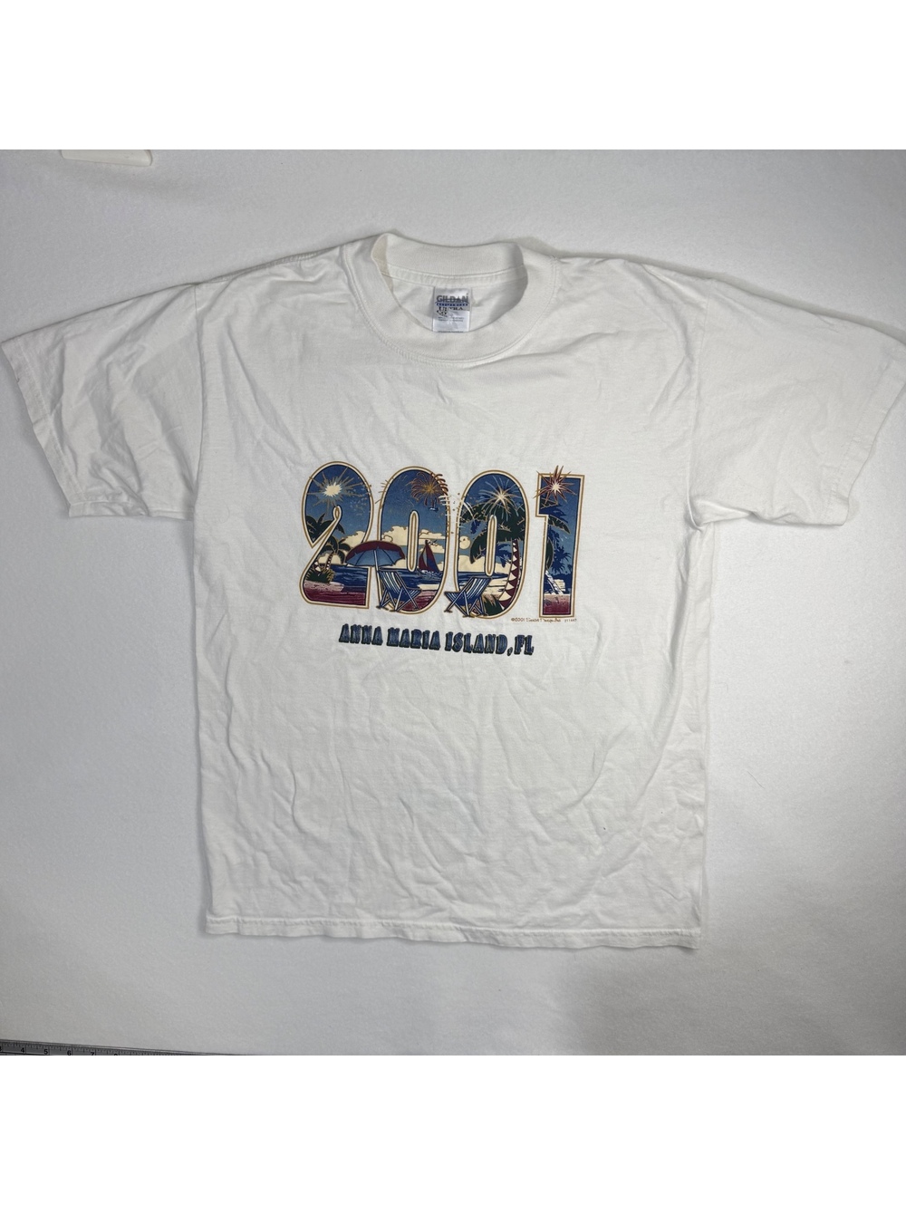 Vintage 2001 Anna Maria Island FL Beach Souvenir T-Shirt Size L